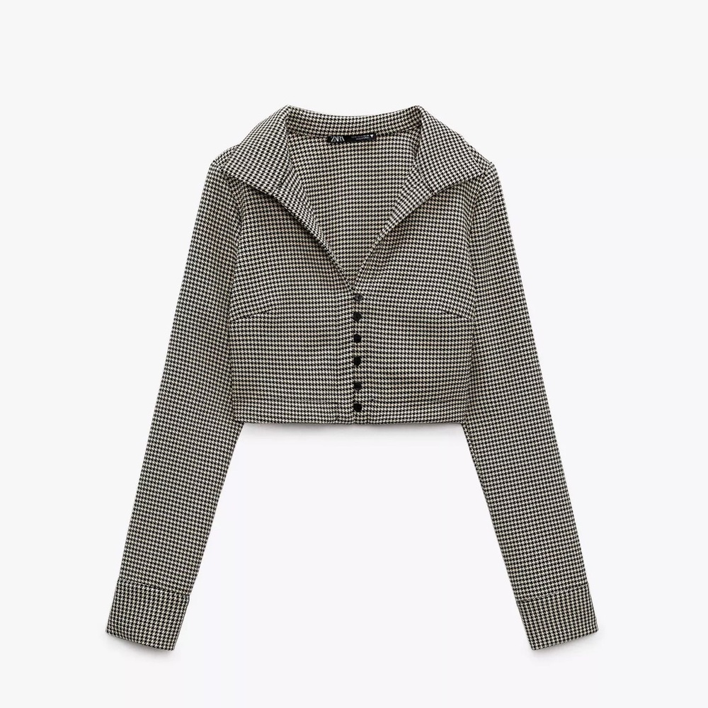 Zara Black and White Checkered Crop Top